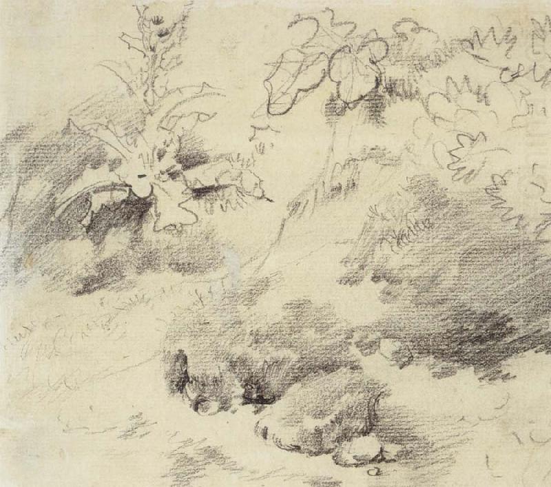 Study for a Foreground,a Bank with Weeds and Thistles, Thomas Gainsborough